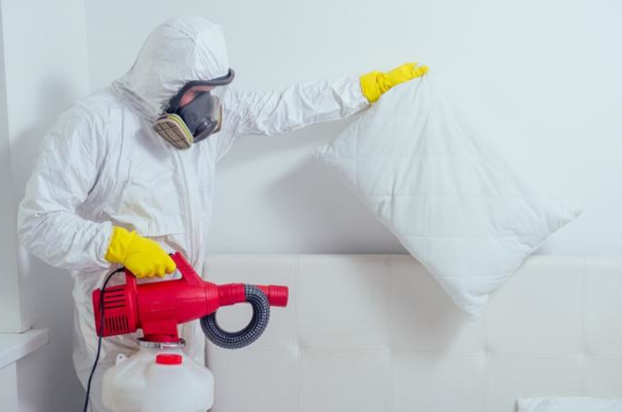 traitementpunaisedelit